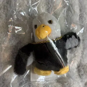 미세스 사용의 새