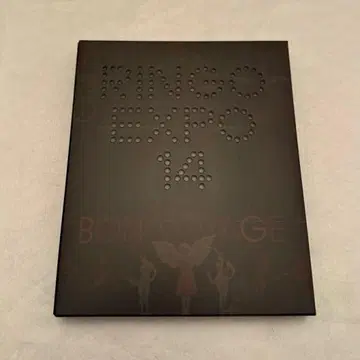 [USED] 시이나 링고 RINGO EXPO 14 음악 라이브 DVD