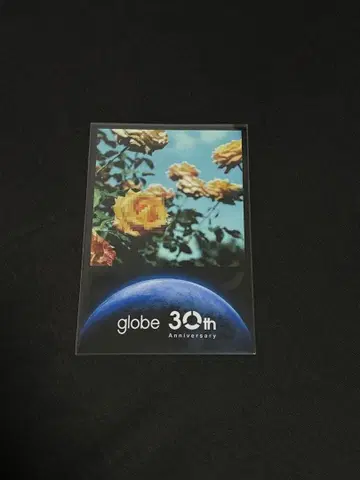 globe 30th 그리팅 카드 엽서 Relation -