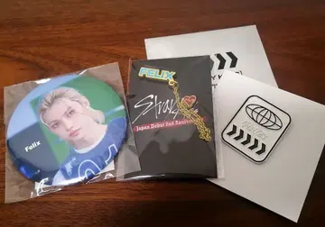 필릭스 캔뱃지 핀즈