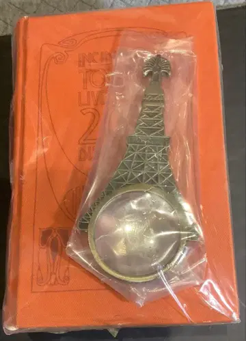 [레어] 시이나 링고 도쿄지헨 2011년 투어 팜플렛