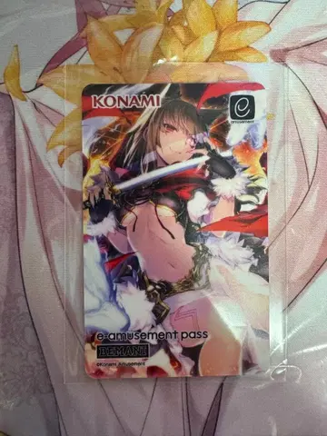 SDVX e-amusement pass 홍인 카드 커넥트