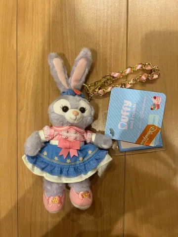 홍콩 디즈니 스텔라 루