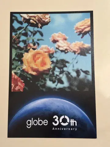 globe 30th 그리팅 카드 Relation