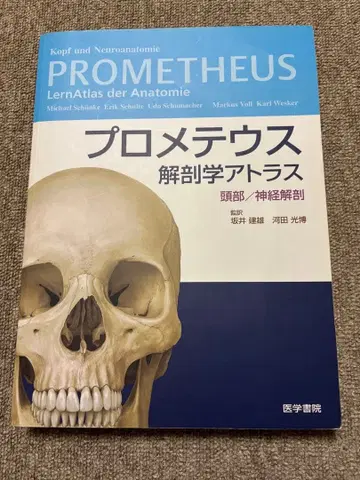 프로메테우스 해부학 아틀라스 머리/신경 해부