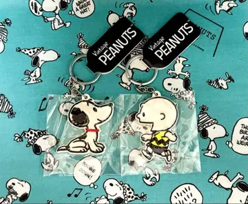 스누피 찰리 빈티지 다이컷 키링