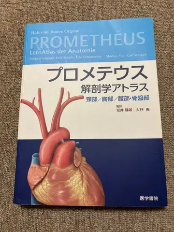 프로메테우스 해부학 아틀라스 목/가슴/복부 골반부