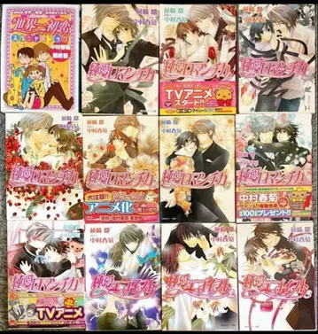 순애 로맨티카 전권 세트