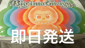 팝마트 popmart LABUBU 라부부 BigintoEnergy