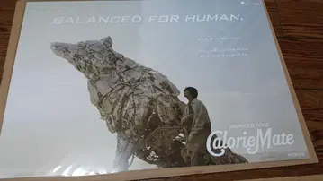 요네즈켄시 칼로리메이트 포스터, 클리어 파일