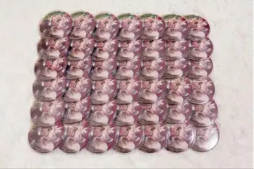 호크스 컬렉션 캔뱃지 42개