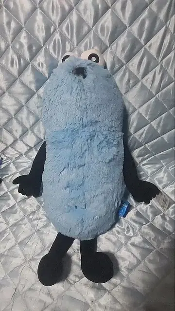 순순 big 봉제 인형 파랑