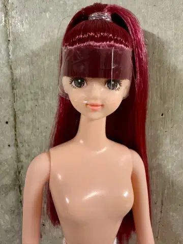 제니 제니 프렌드 사야카