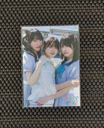 연꽃 하늘 브로마이드 미라쿠라 파크