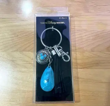 [ 가격 인하 중 미사용 ] 디즈니랜드 태슬 키체인
