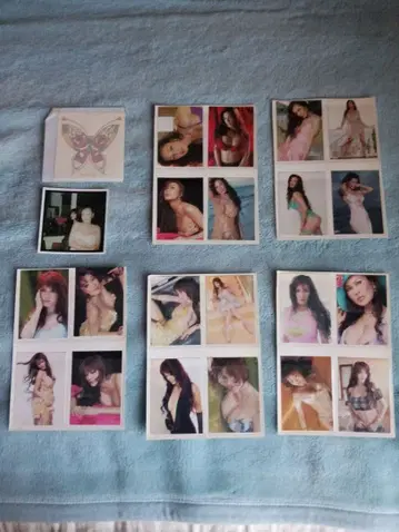 카노 자매 카드 20장 브로마이드 1장 씰 1장