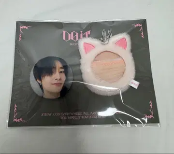 StrayKids 스키즈 POPUP Do it 아이엔 폭시니