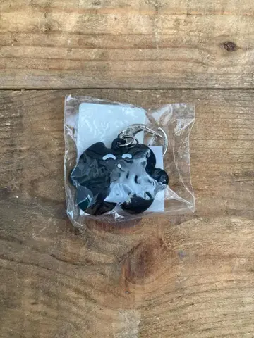 [새상품] [미개봉] 카네코 아야노 블랙 고양이 키링