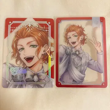 트위스테 케이트 클리어 카드 세트 플라티나 프리미엄 벌스데이 2024