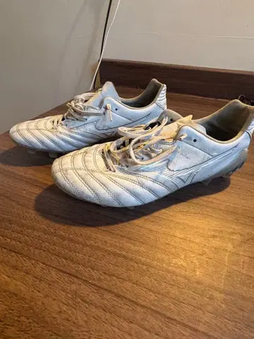 모나르시다 네오