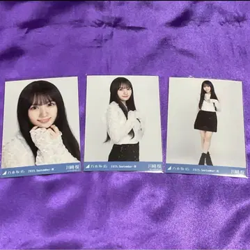 카와사키 사쿠라 스팽글 브로마이드 컴프