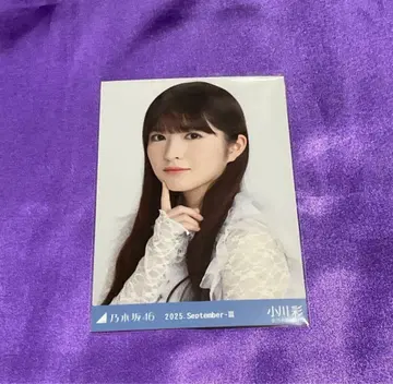 오가와 아야 스팽글 브로마이드 요리