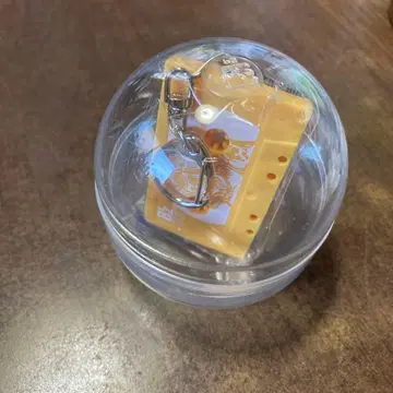 B'z LIVE-GYM 2025 -FYOP- 가챠 11/29 카세트 참