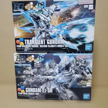 TRANSIENT GUNDAM & GUNDAM E2-SR 세트