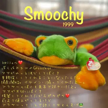 [ 구하기 어려움 ] ty 비니 베이비 봉제 인형 개구리 버디즈