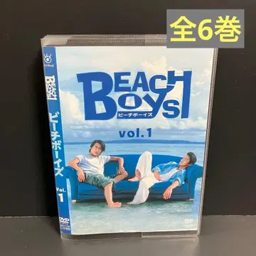 소프트 케이스 수납 BEACH BOYS 렌탈 DVD 전권 완결 세트