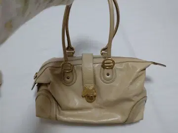 츠모리치사토 카리야네코 보스턴 백