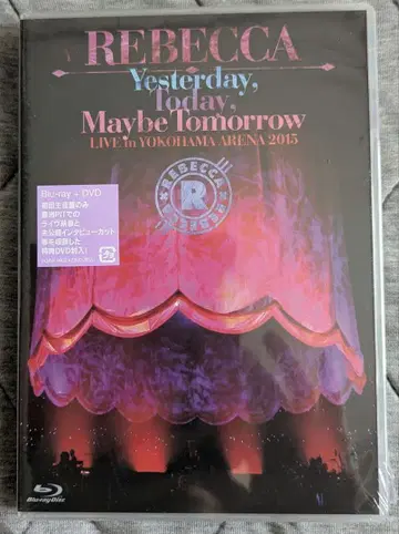 REBECCA / Yesterday Today Maybe Tomorrow