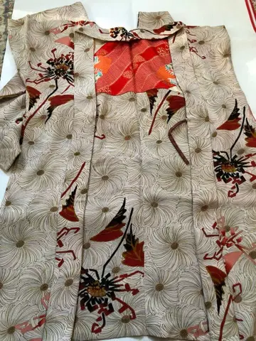 겉옷 쇼와 야생국화? 빨간색