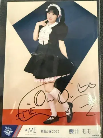 노이메 직필 사쿠라이 모모