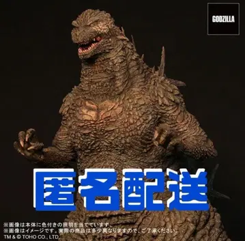 도호 30cm 시리즈 고질라(2023) 일반 유통판 고질라 -1.0