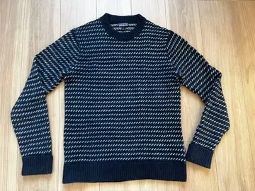 patagonia 버즈아이