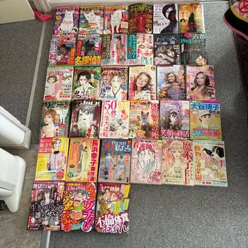 여성용 미스터리 코믹스 잡지 세트 2023년 33권