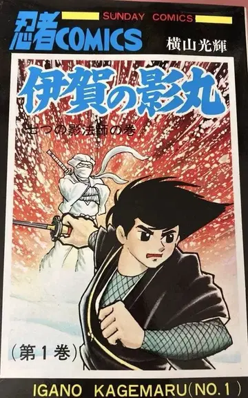 이가의 카게마루 요코야마 미츠테루