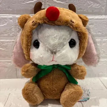 포테우사 롯삐 루돌프