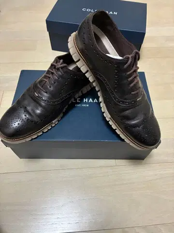 콜한 제로그랜드 짙은 갈색