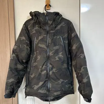 다운 저널 스탠다드