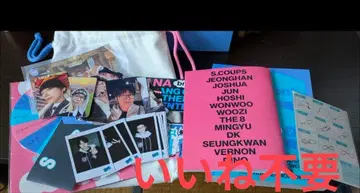 SEVENTEEN NANA bnb 나나민박