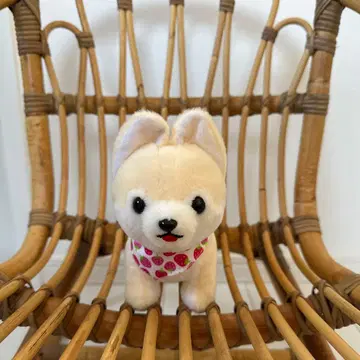 콩 시바 콩 시바 삼형제