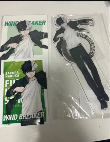WIND BREAKER 윈브레 사쿠라 하루카 아크릴 스탠드