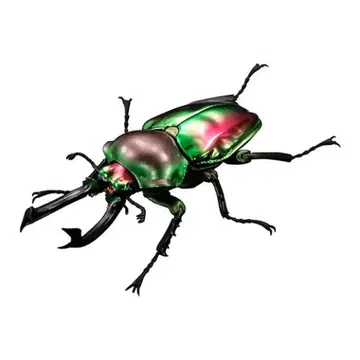 생물대도감 어드밴스 니지이로사슴벌레 [ 노멀 ]