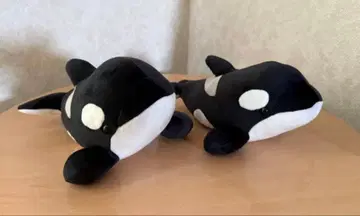 나고야항 수족관 범고래 복권 3등 블랙 2개 봉제 인형 복권