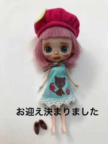 커스텀 미니 브라이스 인형 작가님