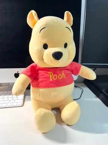 곰돌이 푸 봉제 인형