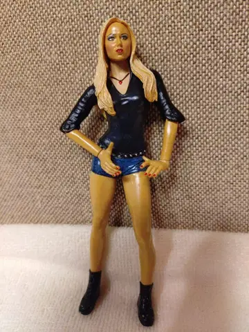 개봉 중고 WWE ( WWF ) 디바 스테이시 키블러