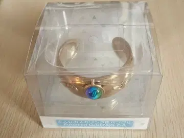 주인공의 메가링풍 뱅글 포켓몬 레전즈 Z-A